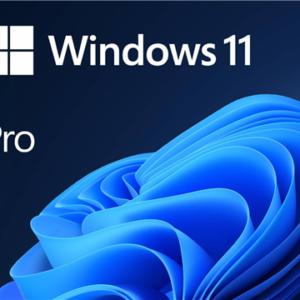Windows 11 Pro 64Bit OEM